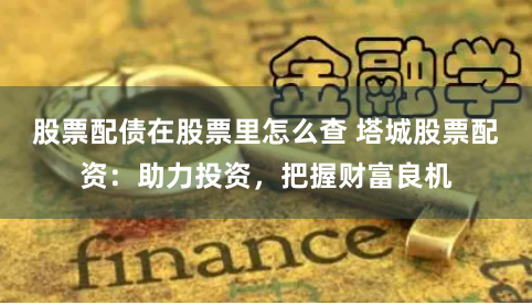 股票配债在股票里怎么查 塔城股票配资：助力投资，把握财富良机