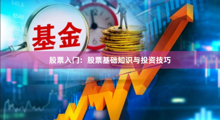 股票入门：股票基础知识与投资技巧
